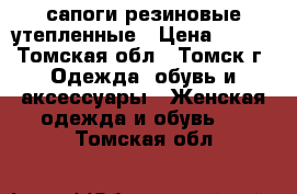 сапоги резиновые утепленные › Цена ­ 500 - Томская обл., Томск г. Одежда, обувь и аксессуары » Женская одежда и обувь   . Томская обл.